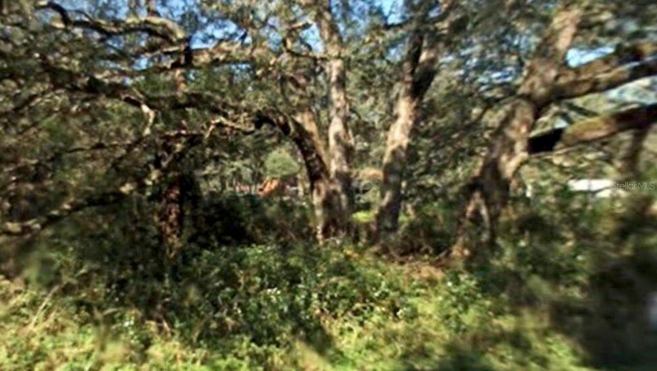 355 Grand Ave., Brooksville, FL 34604