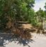 New Homes For Sale This Week in Pensacola: July 4th to July 10th
