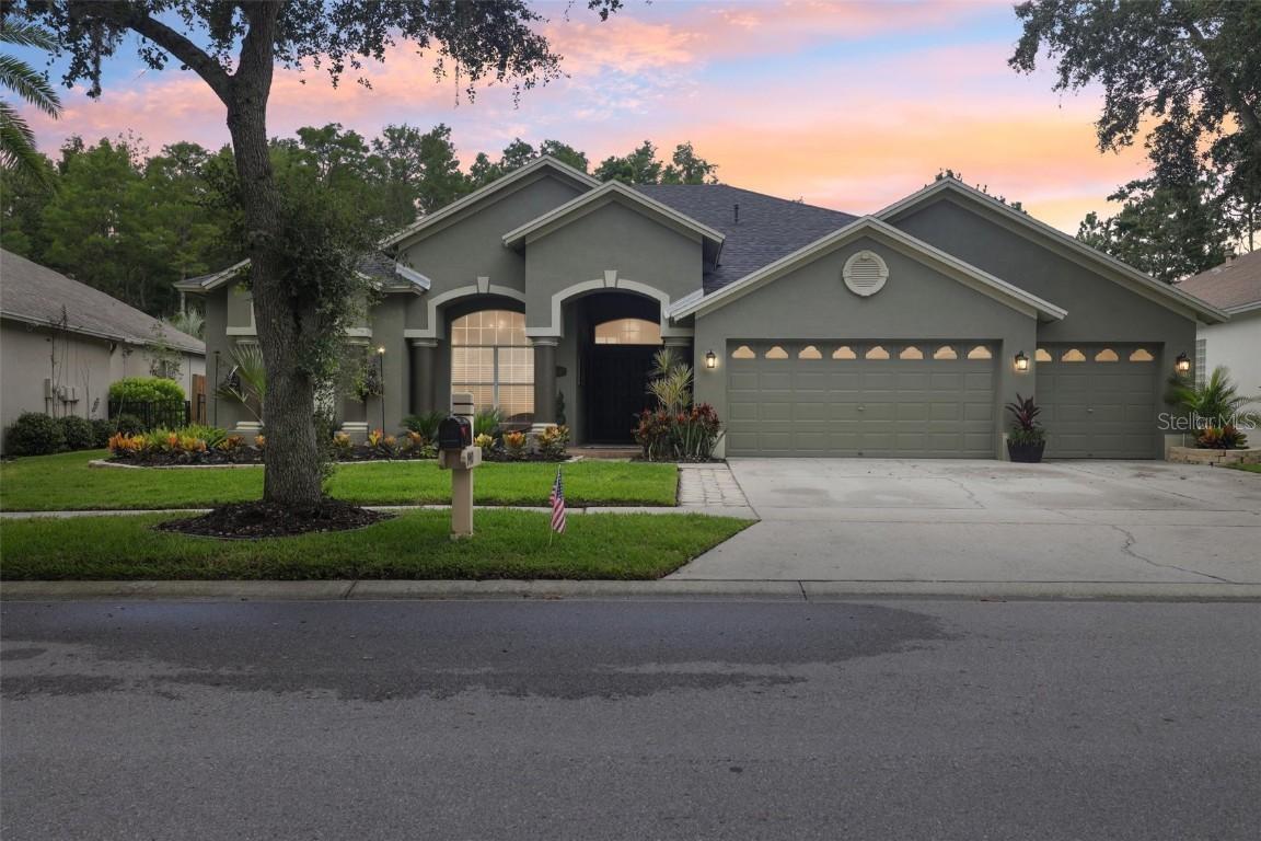 19410 French Lace Dr., Lutz, FL 33558