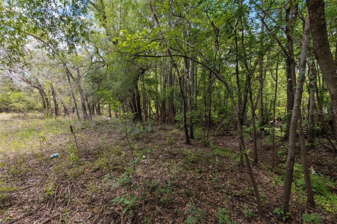 8198 Shasta St., Webster, FL 33597