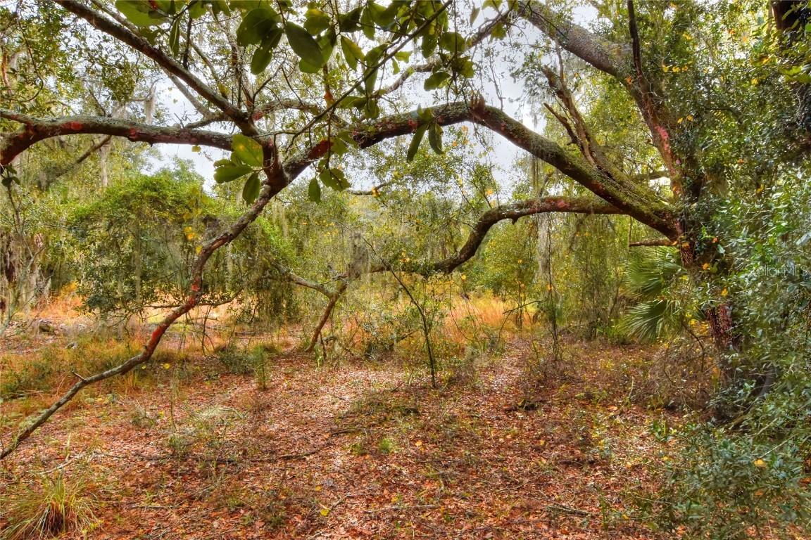 Keysville Rd., Lithia, FL 33547
