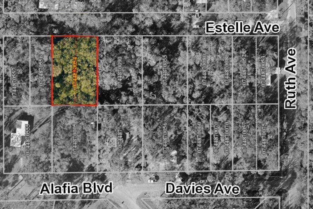 931 Estelle Ave., Brandon, FL 33511