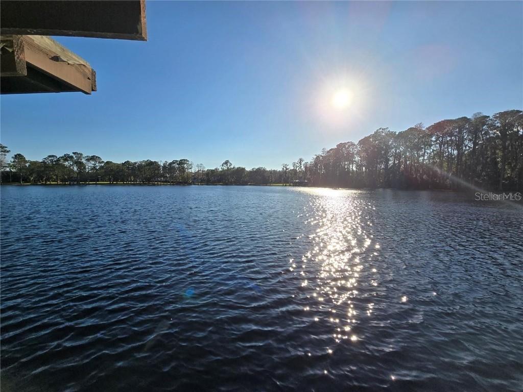 18856 Crescent Road, Odessa, FL 33556