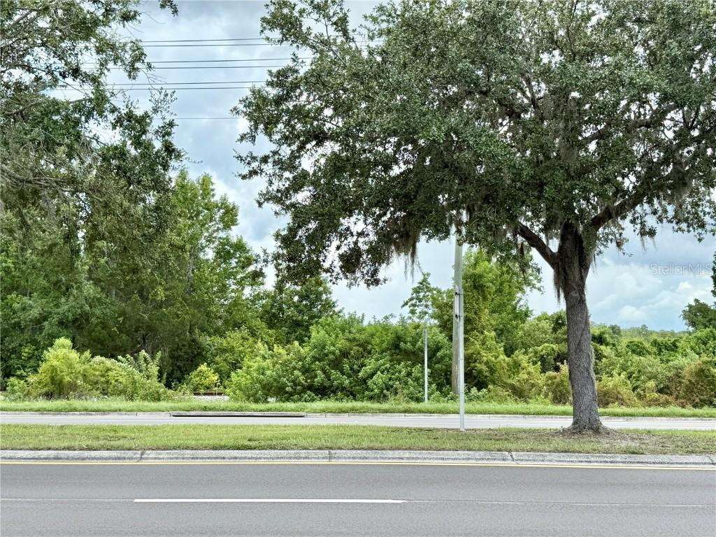 Hwy 41 (24-26-18-0000-03300-0010), Land O Lakes, FL 34638