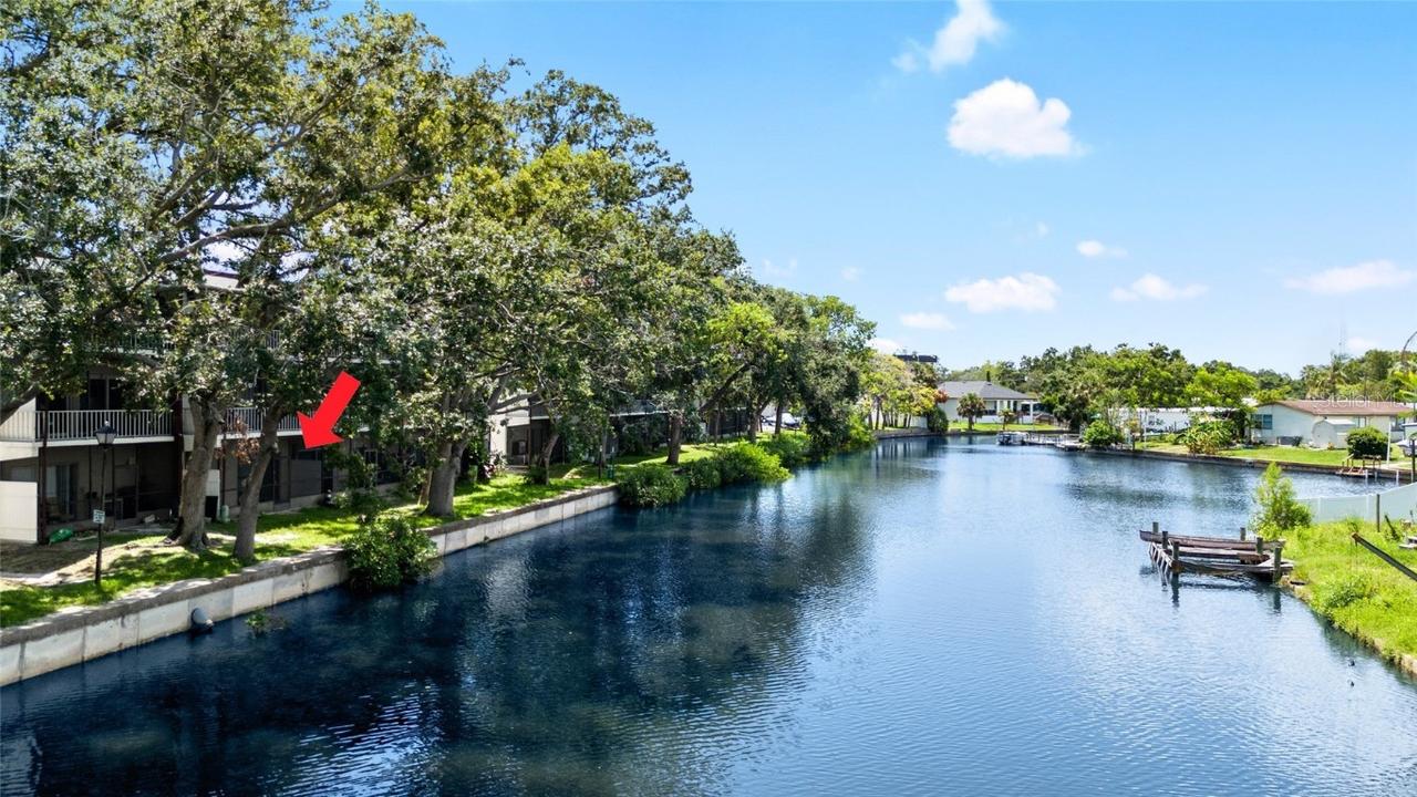 9213 Tudor Dr. #B104, Tampa, FL 33615