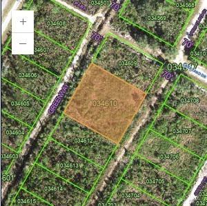 Palm Beach Dr., Indian Lake Estates, FL 33855