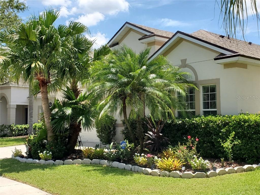 11052 Ancient Futures Dr., Tampa, FL 33647