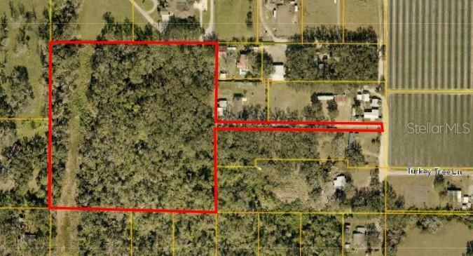 Turkey Tree Ln., Dover, FL 33527