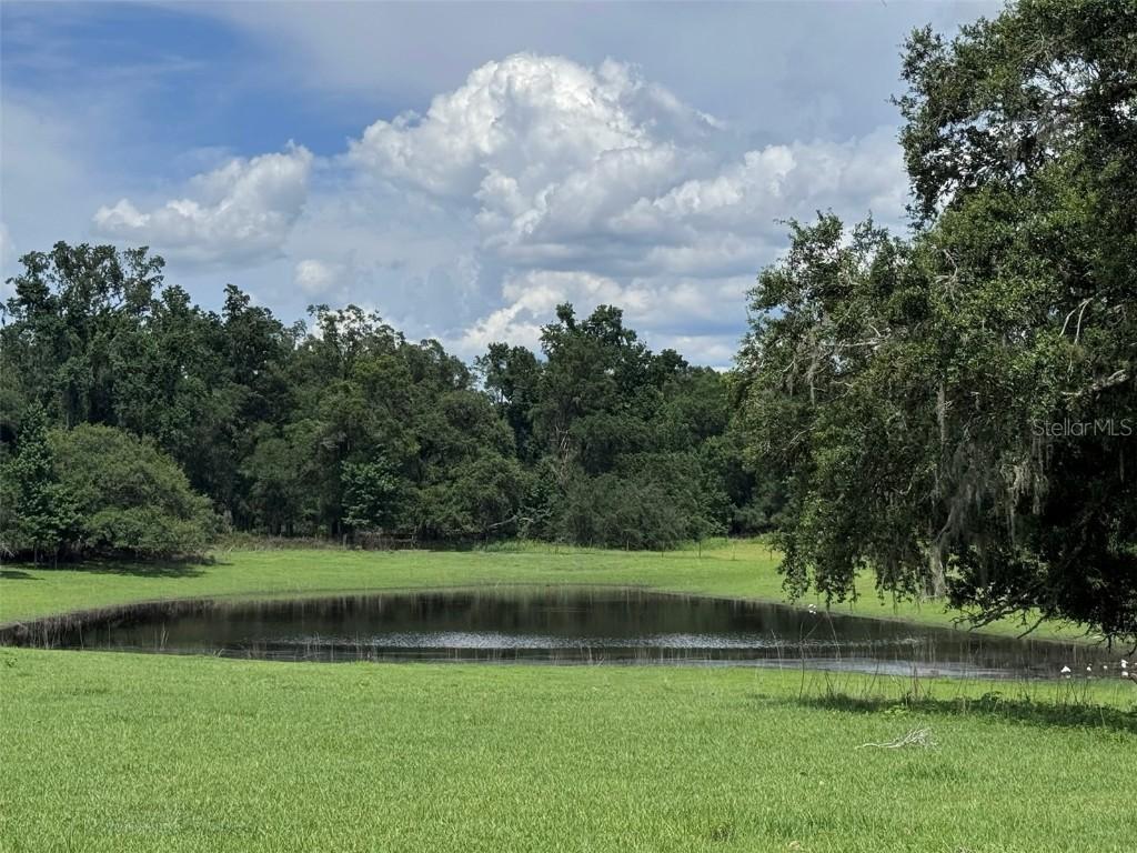 20716 Ramer Rd., Dade City, FL 33523