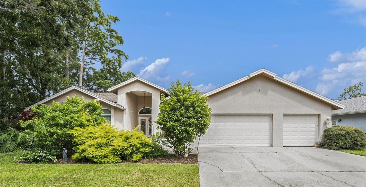 3125 Edgemoor Dr., Palm Harbor, FL 34685