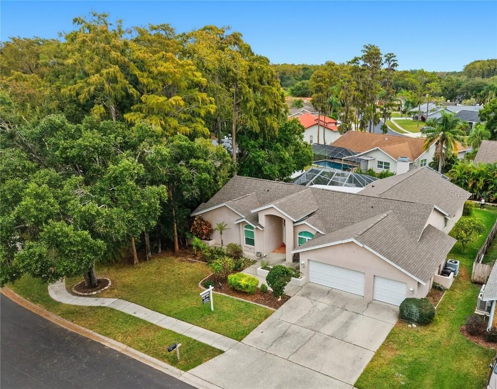 3125 Edgemoor Dr., Palm Harbor, FL 34685