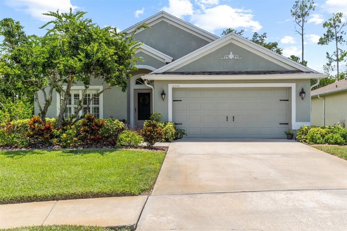2540 Rosehaven Dr., Wesley Chapel, FL 33544