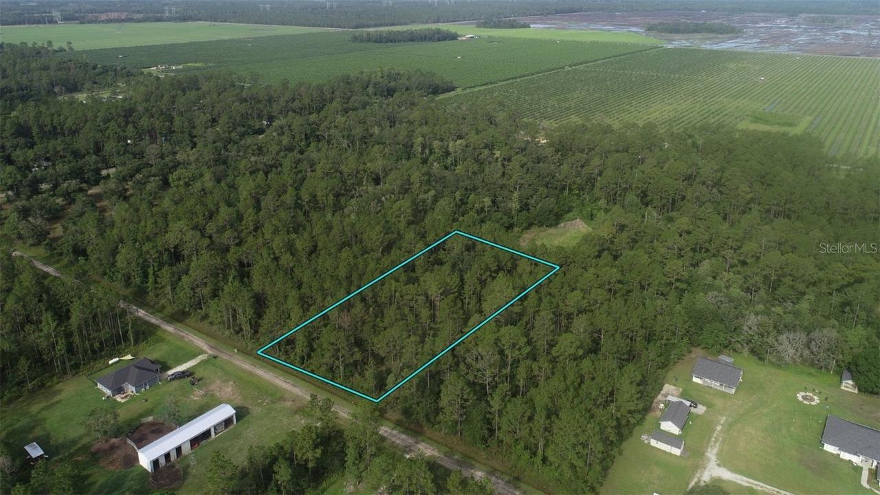 10325 Gregory Ave., Hastings, FL 32145