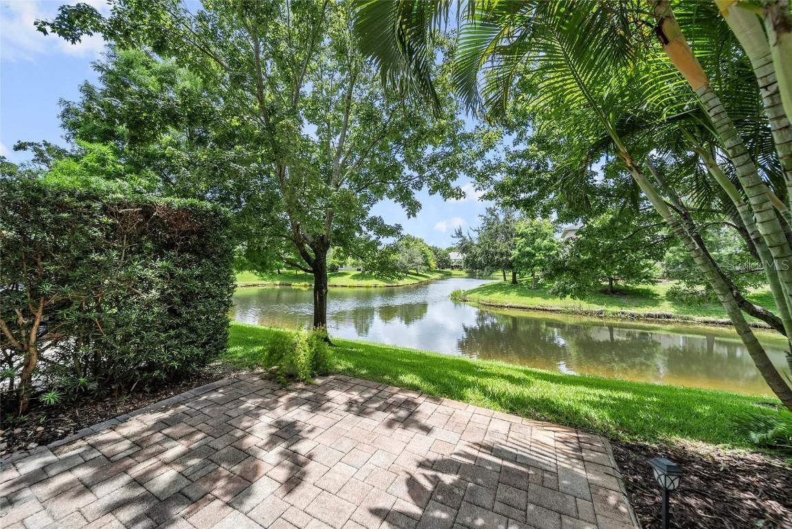 558 Harbor Ridge Dr., Palm Harbor, FL 34683