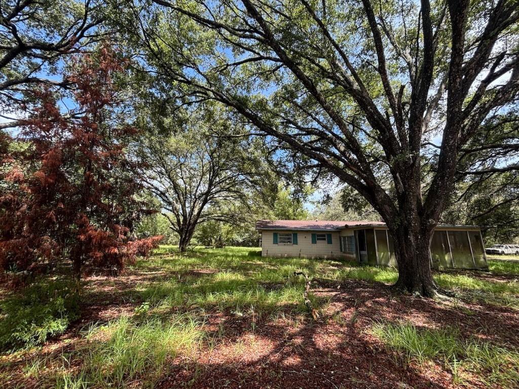 15899 NE 132nd Ct., Fort Mc Coy, FL 32134