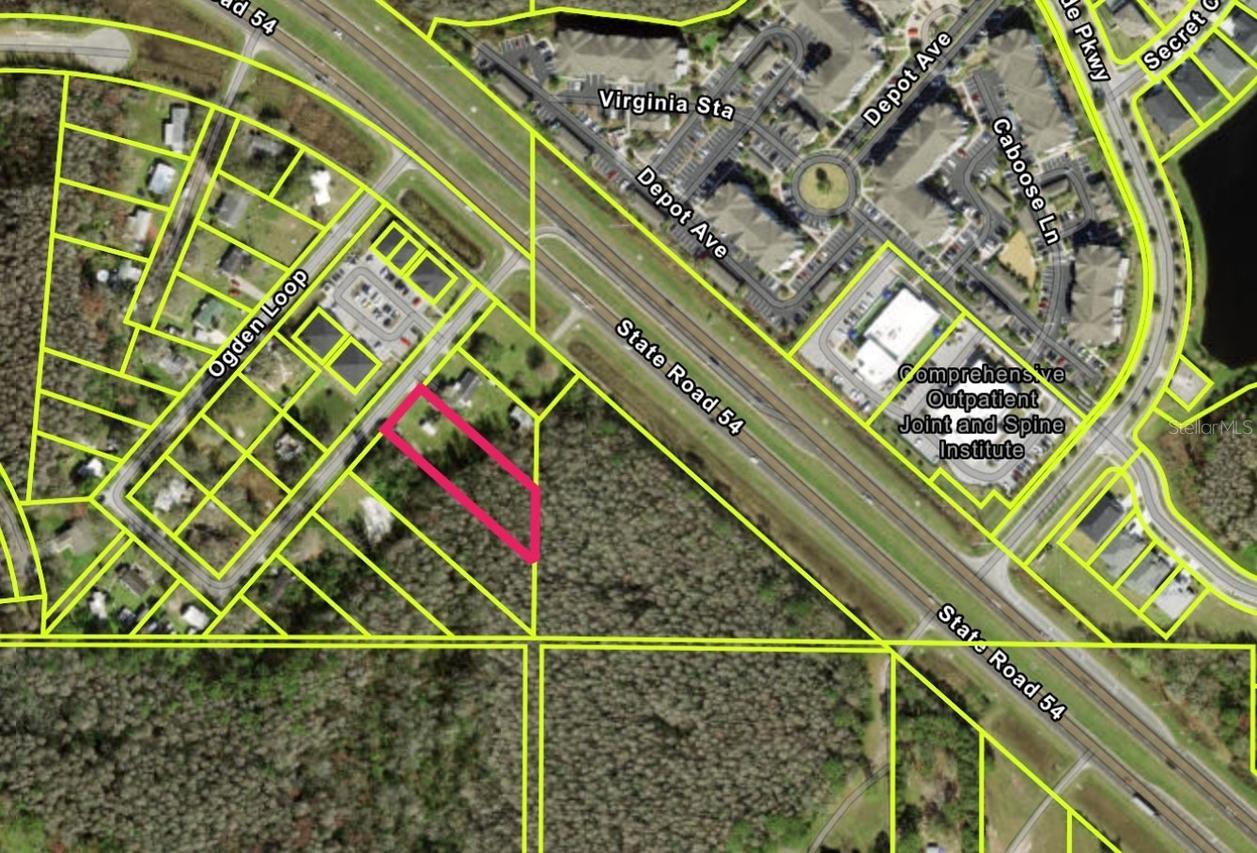 14969 Ogden Loop, Odessa, FL 33556