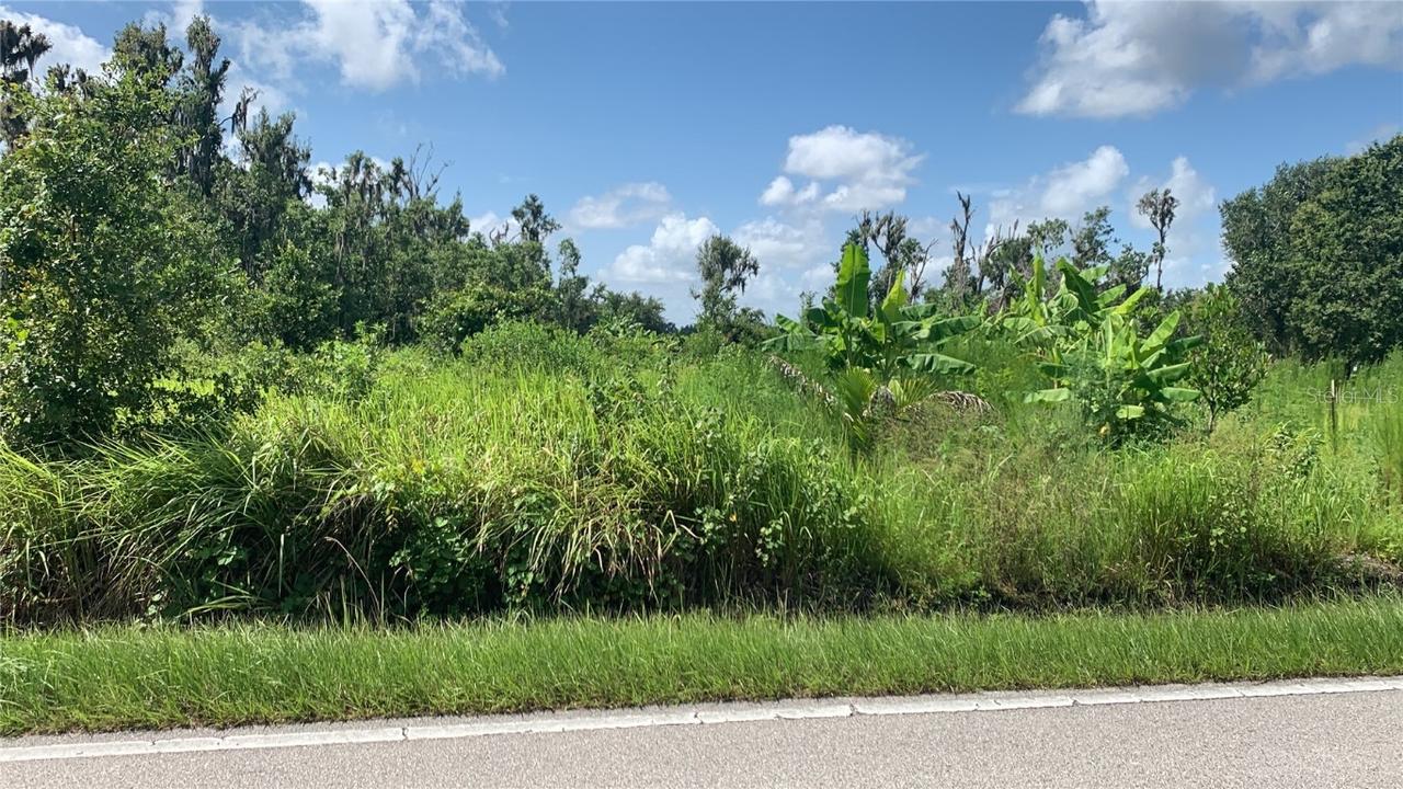 Sink Hole Rd., Bartow, FL 33830