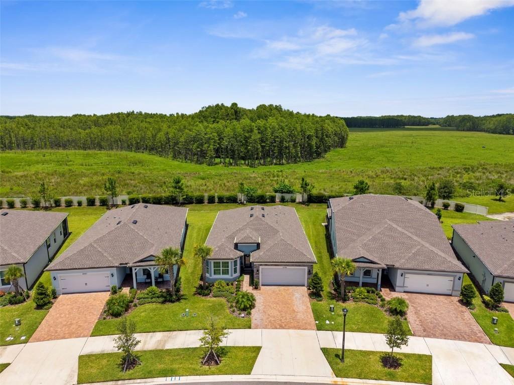 20065 Sea Glass Cir., Land O Lakes, FL 34638