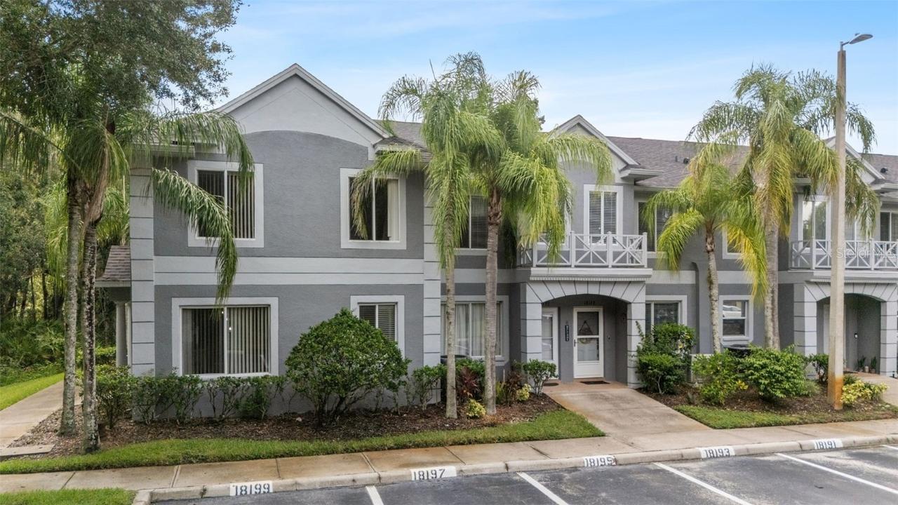18195 Paradise Point Dr., Tampa, FL 33647