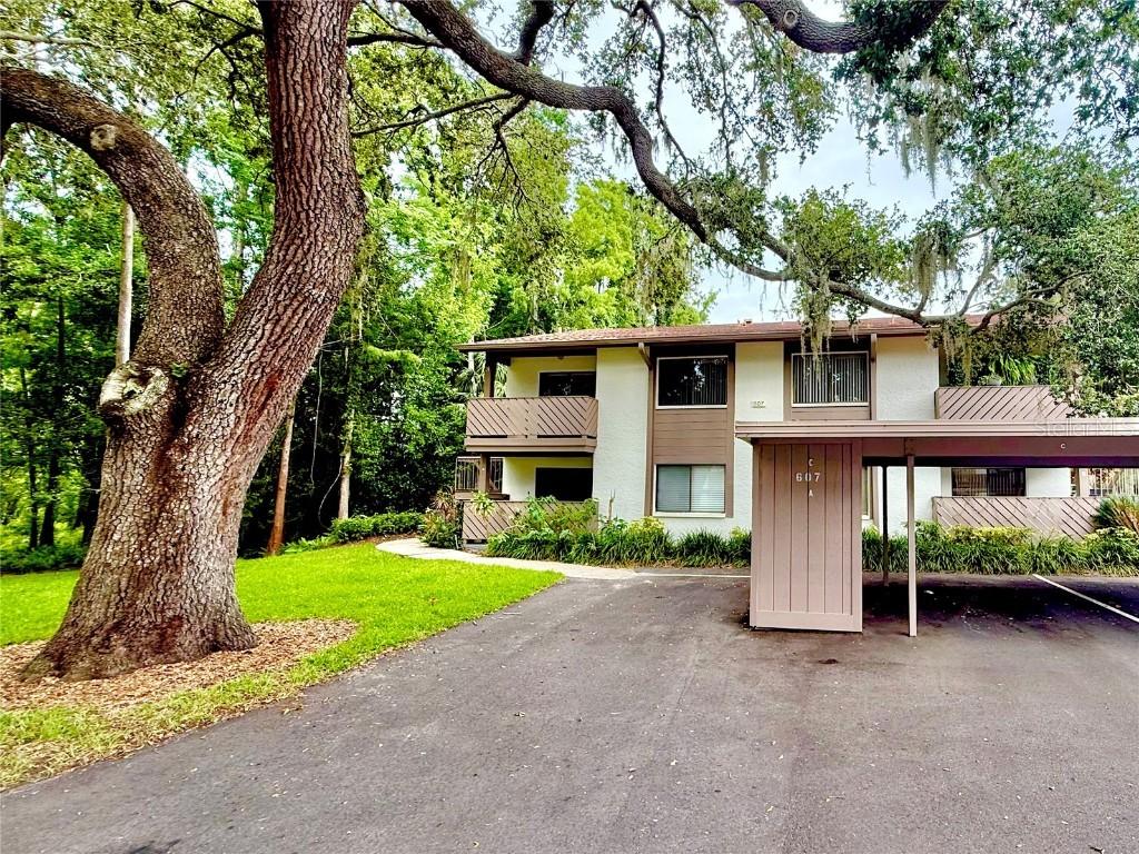 607 Summerhill Ct. #C, Safety Harbor, FL 34695