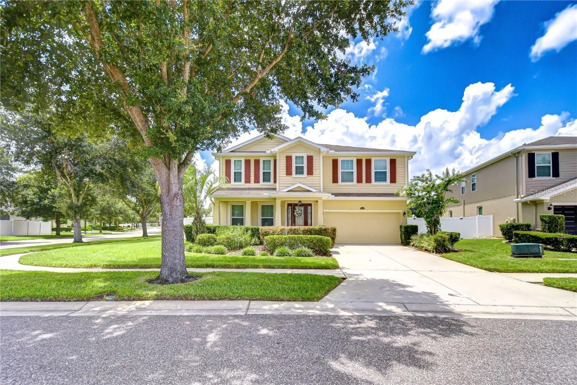 2499 Calvano Dr., Land O Lakes, FL 34639
