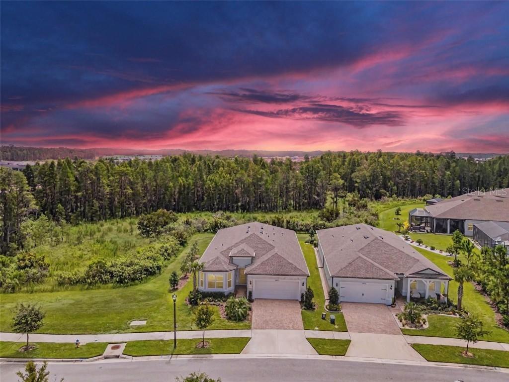 18722 Sailors Delight Pass, Land O Lakes, FL 34638