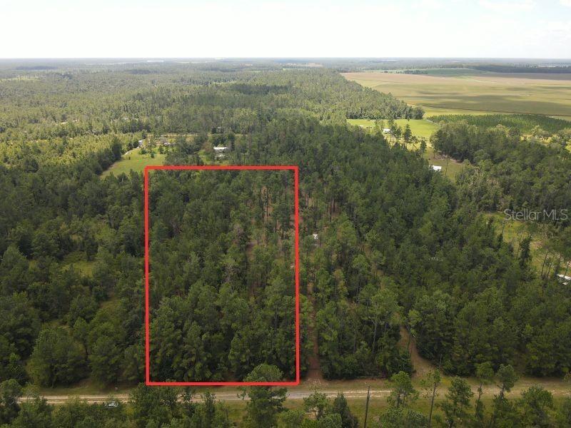 NE Dixon Ct., Lee, FL 32059