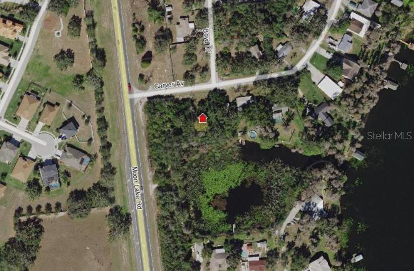 Carver Ave., New Port Richey, FL 34654