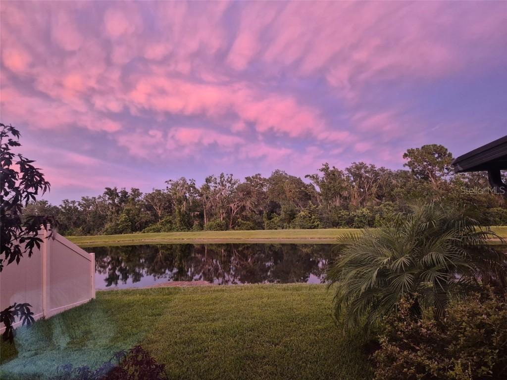 17218 White Mangrove Dr., Wimauma, FL 33598