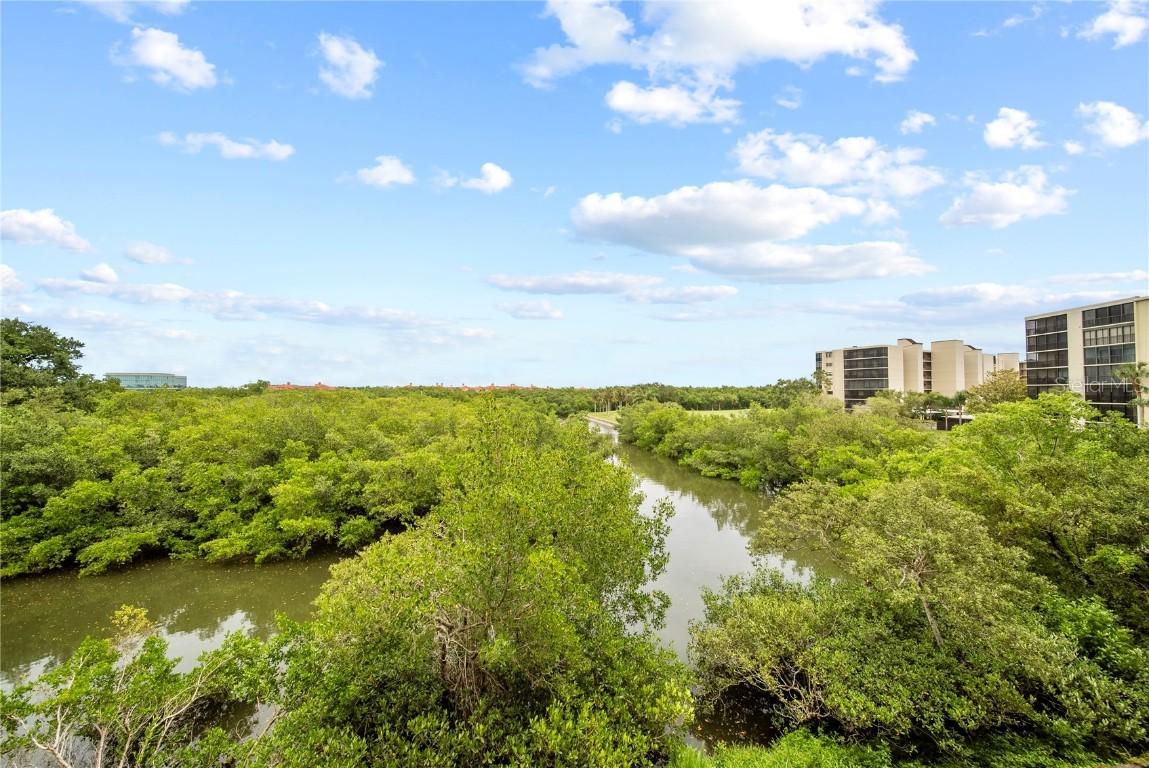 900 Cove Cay Dr. #3E, Clearwater, FL 33760