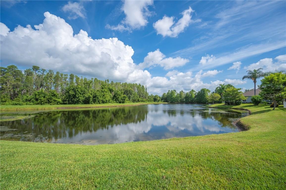 19443 Everton Pl., Land O Lakes, FL 34638