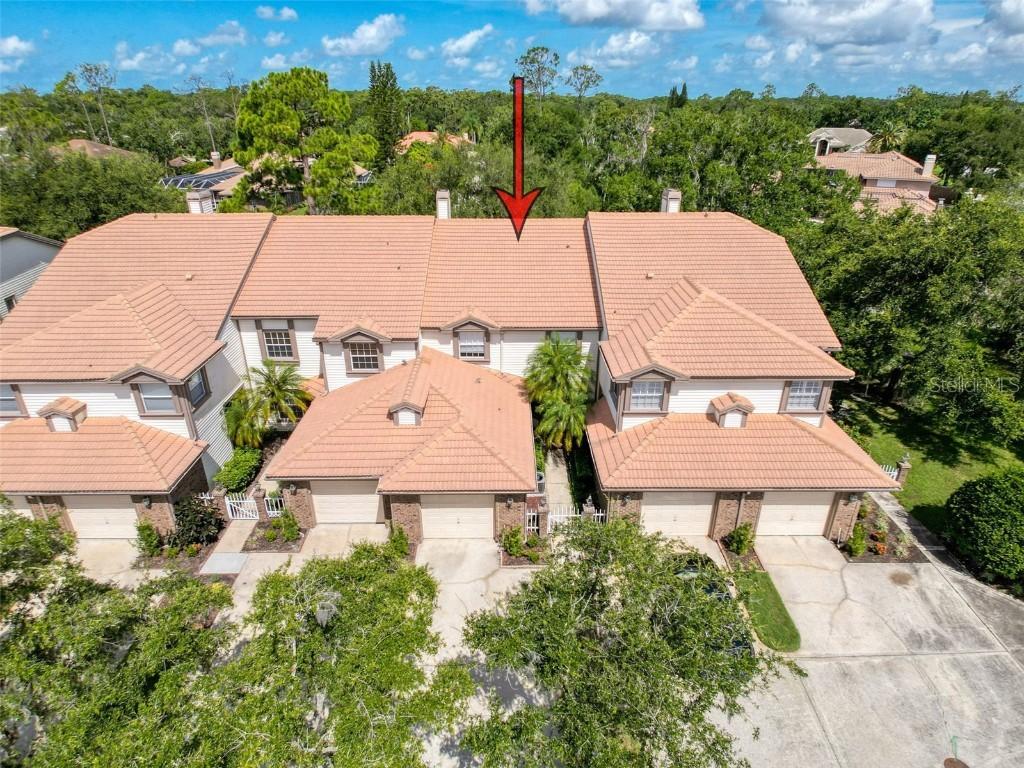 1292 Clays Tr., Oldsmar, FL 34677