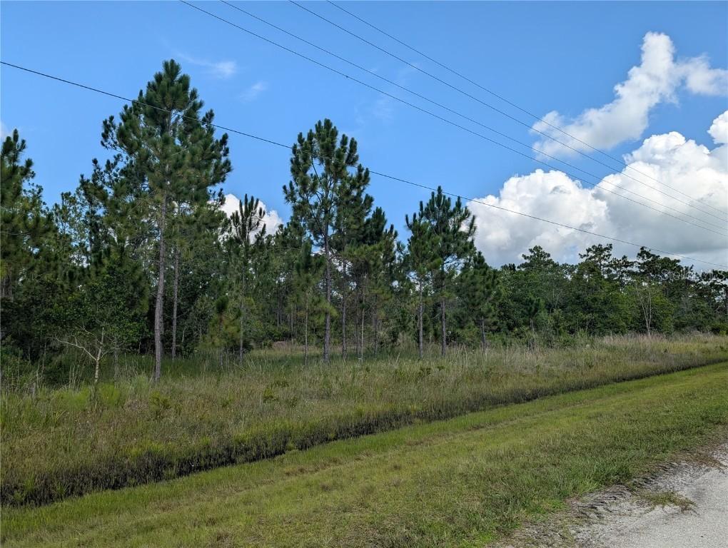 401 Camellia Dr., Indian Lake Estates, FL 33855