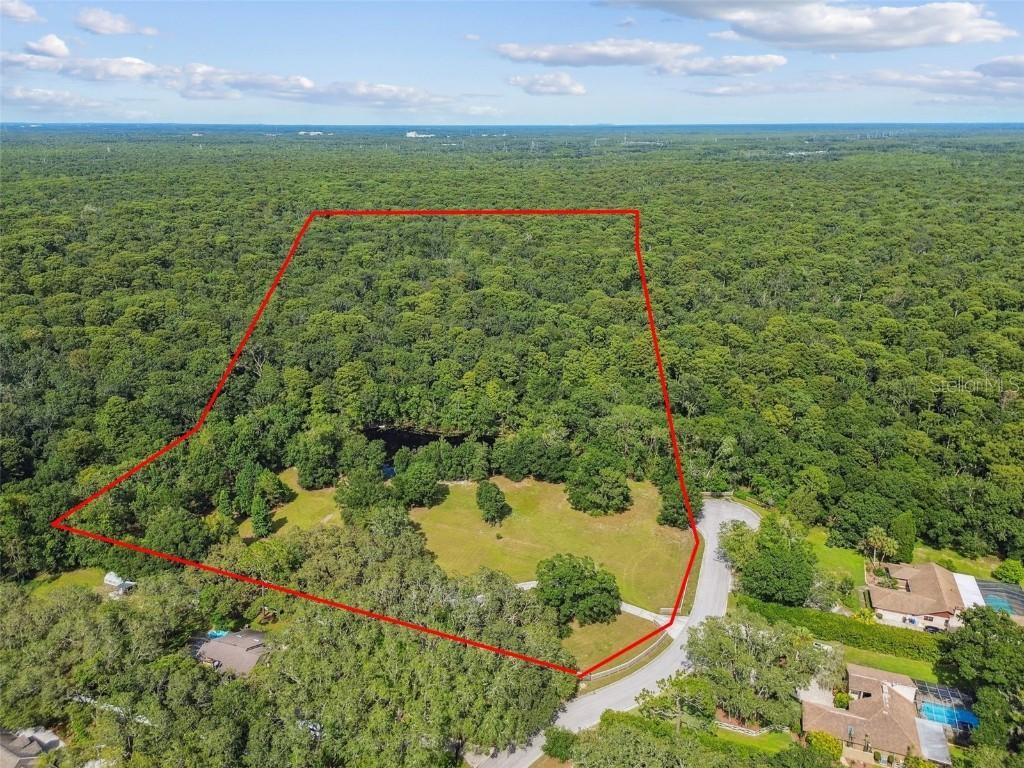 2612 Regal Oaks Ln., Lutz, FL 33559