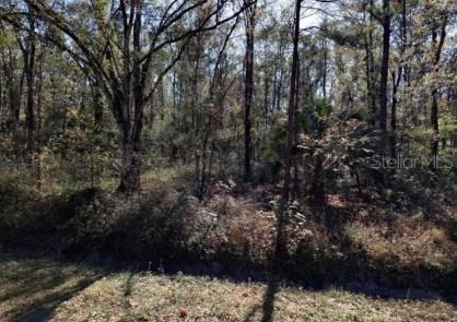 4572 Division St., Hastings, FL 32145