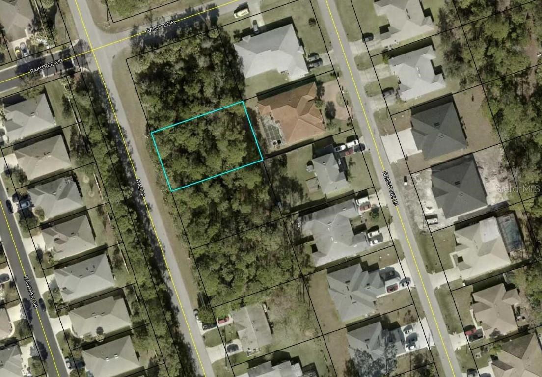 117 Rae Dr., Palm Coast, FL 32164
