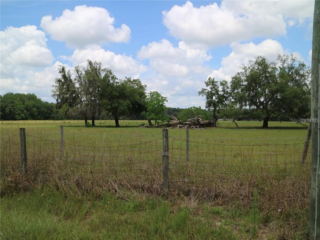 11819 Tarpon Springs Rd., Odessa, FL 33556