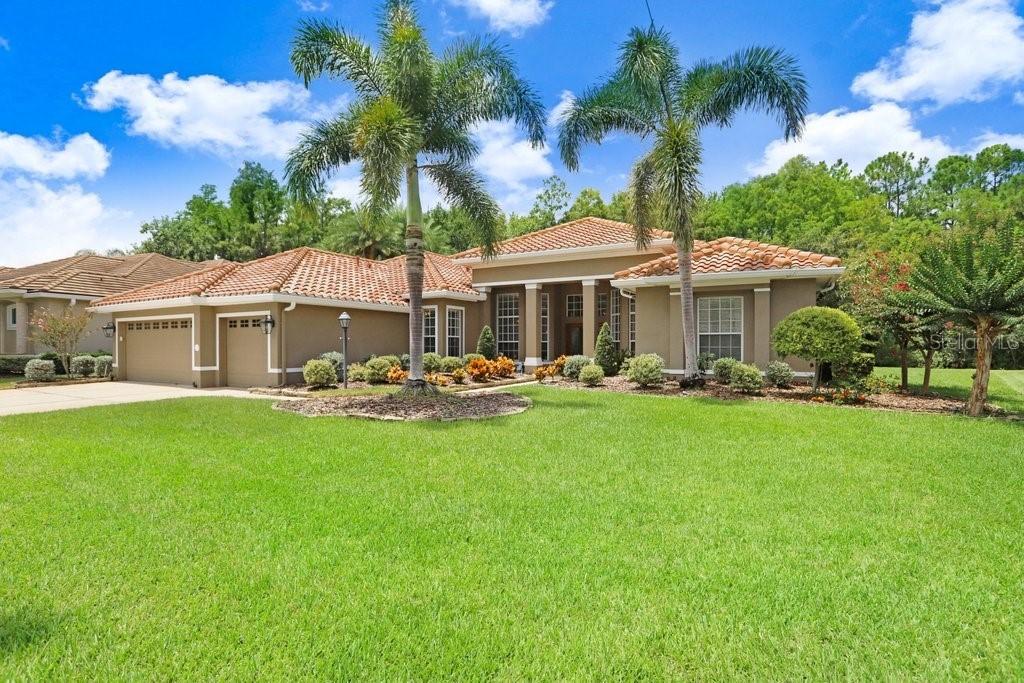 12029 Brewster Dr., Tampa, FL 33626