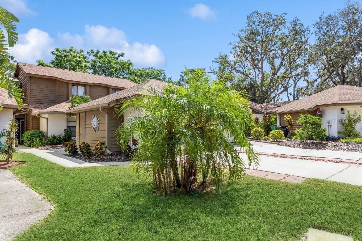 2018 Philippe Ct., Safety Harbor, FL 34695