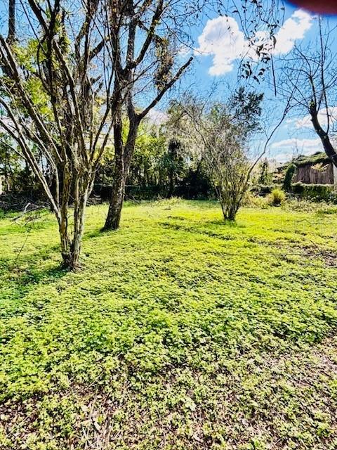 35441 Francine Dr., Zephyrhills, FL 33541