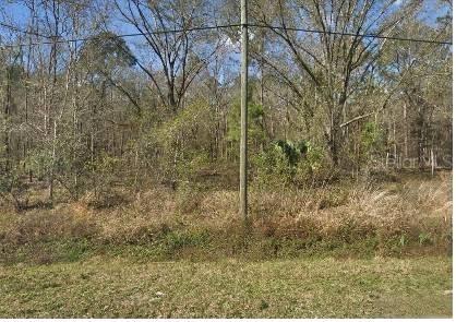 10685 & 10695 Hennessey Ave., Hastings, FL 32145