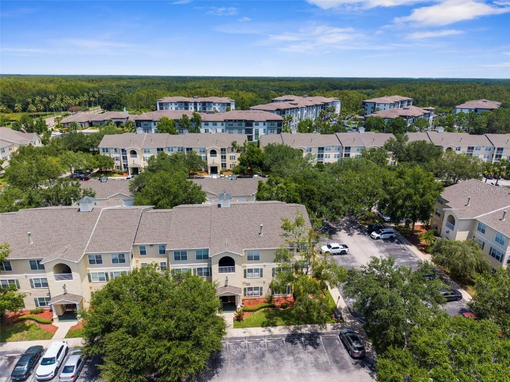 18434 Bridle Club Dr., Tampa, FL 33647