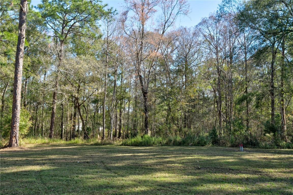 11504 Lake Dr., New Port Richey, FL 34654