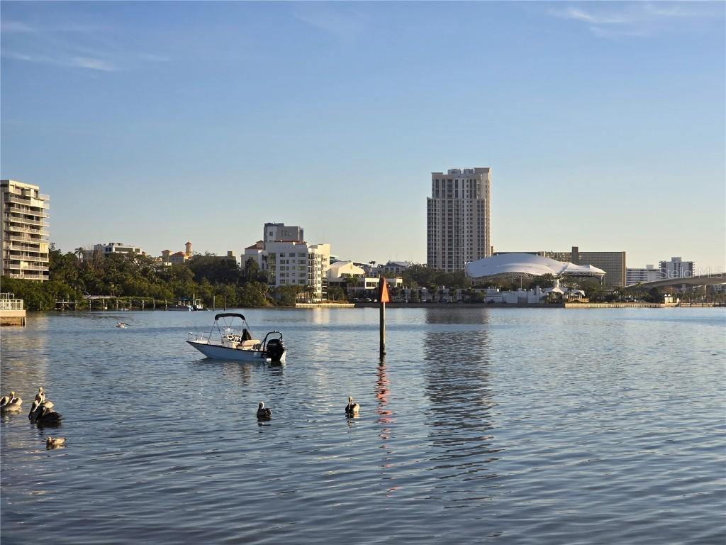 1825 Douglas Ave., Clearwater, FL 33755