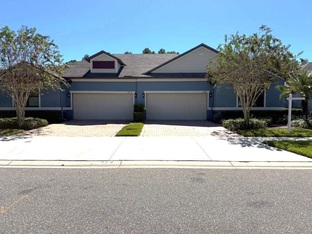 16830 Balance Cove, Land O Lakes, FL 34638