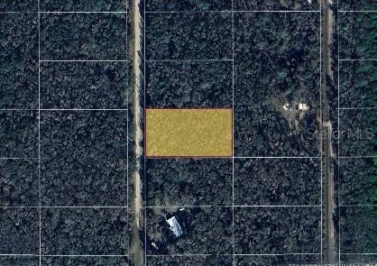 10140 Yeager Ave., Hastings, FL 32145