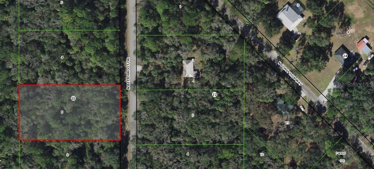 7696 N Bitterroot Dr., Crystal River, FL 34428