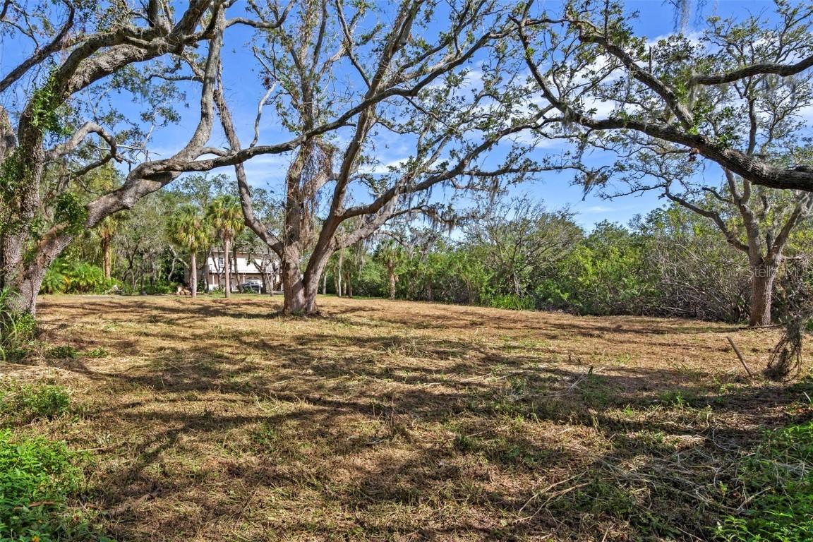Irwin St., Safety Harbor, FL 34695
