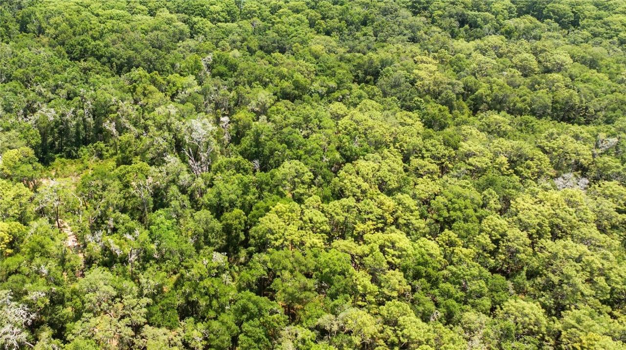 SE 134th Ct., Weirsdale, FL 32195
