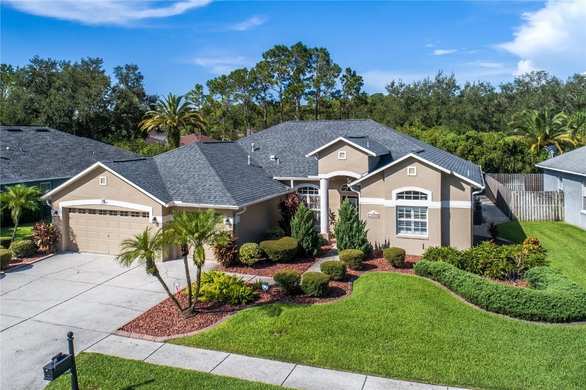 12524 Leatherleaf Dr., Tampa, FL 33626